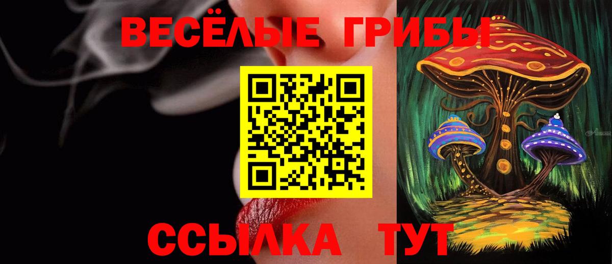Галлюциногенные грибы Magic Shrooms Ачхой-Мартан
