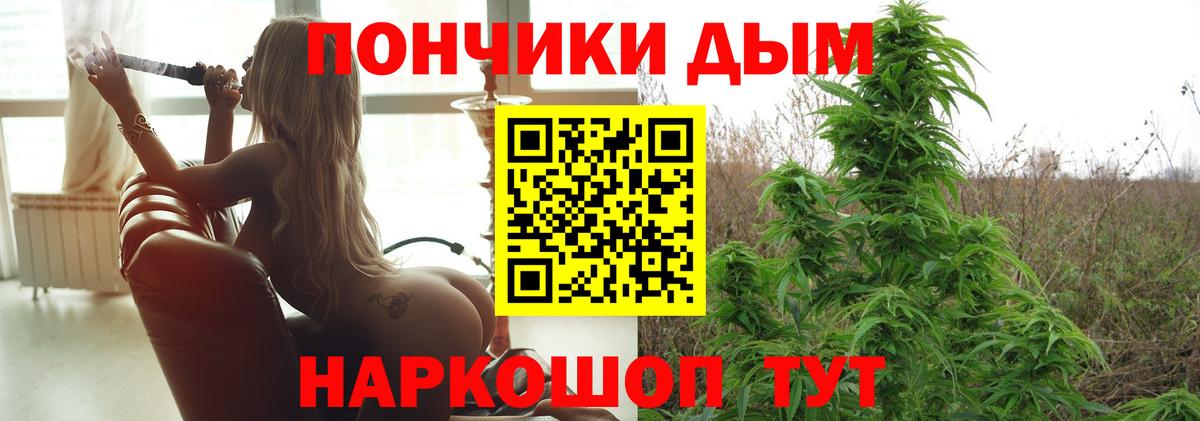 Марихуана гибрид Ачхой-Мартан